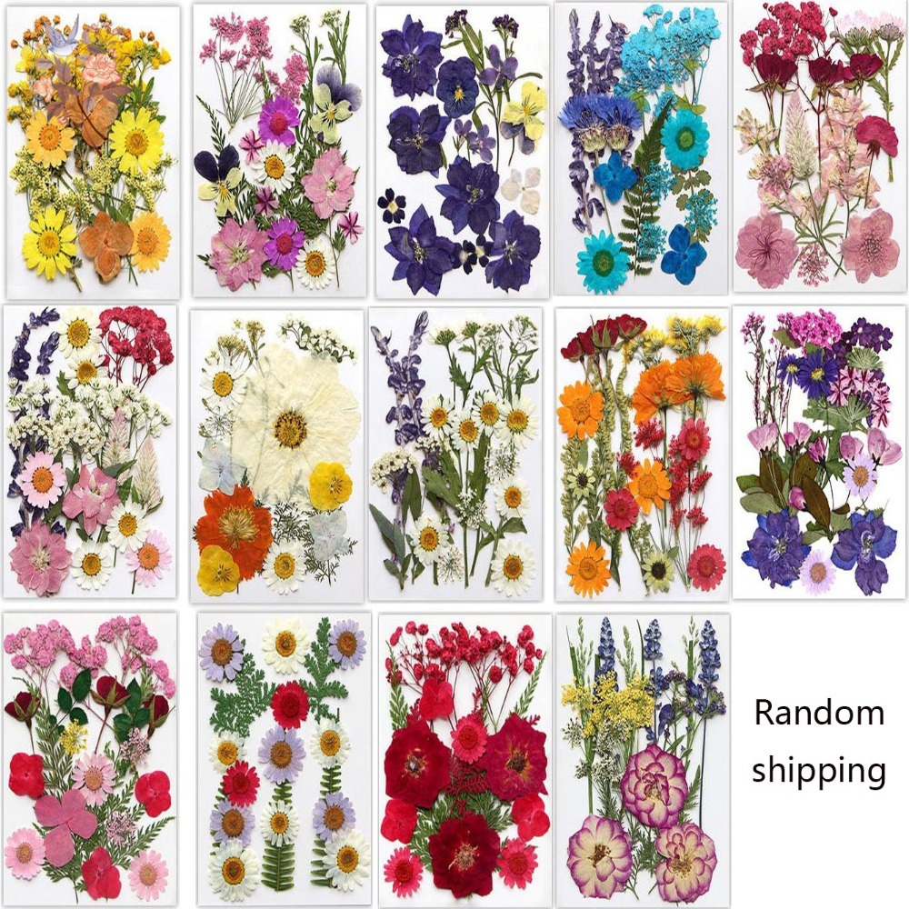 Handmade Pressed Dried Flowers - Dried Flower Bookmark 评论和价格